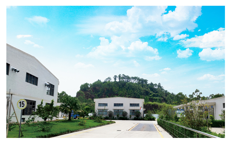 Company Profile